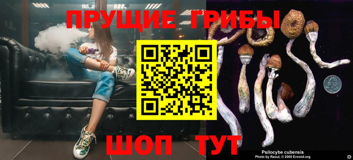 Галлюциногенные грибы GOLDEN TEACHER  Вход с VPN  Гудермес  Галлюциногенные грибы Psilocybe 