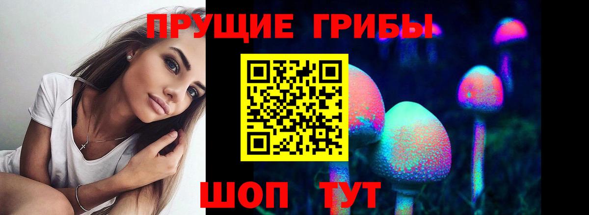 Галлюциногенные грибы мицелий Гудермес